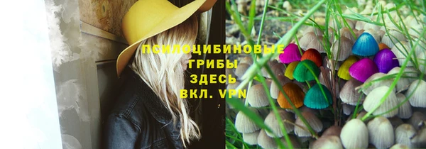 мдма Бородино