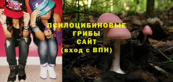 мдма Бородино