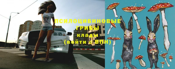 мдма Бородино